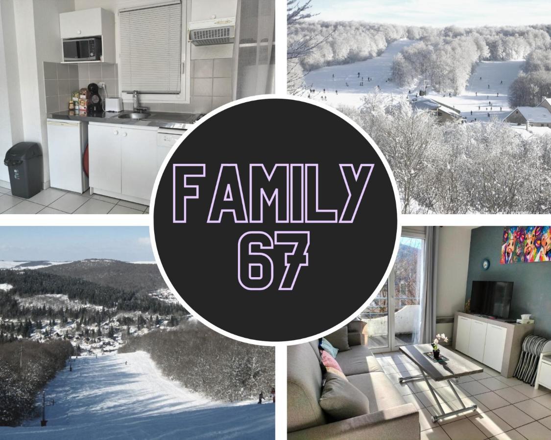 T2 Avec Piscine-Le Family 67 Διαμέρισμα Pierrefiche  Εξωτερικό φωτογραφία
